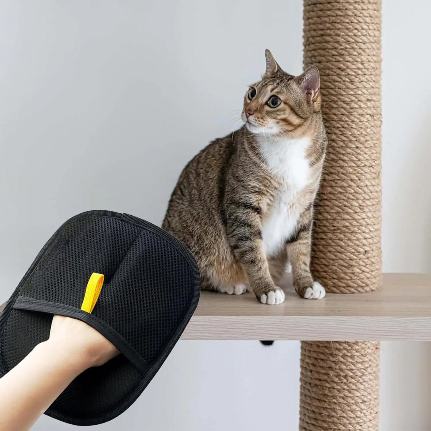 The Purrrfect™ Pet Hair Removal Glove – Easy Grooming