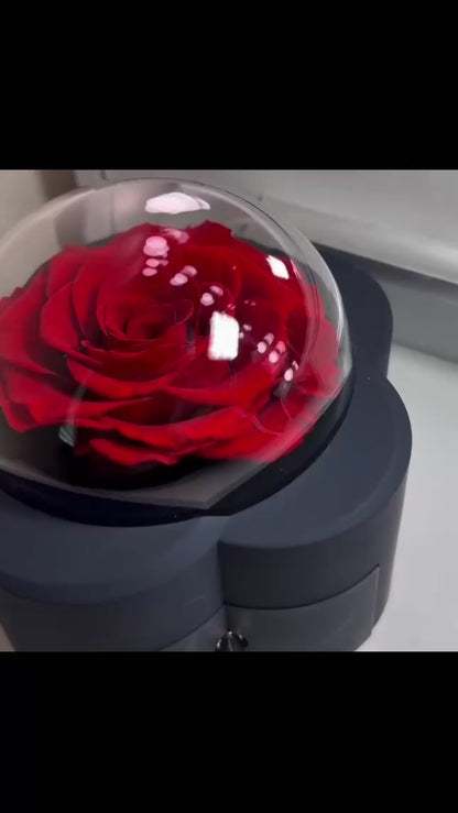 Elegant Preserved Rose & Necklace Gift Box